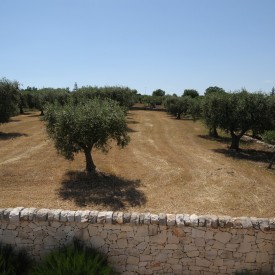 Trullo di Stella