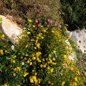 Dimora Sisto